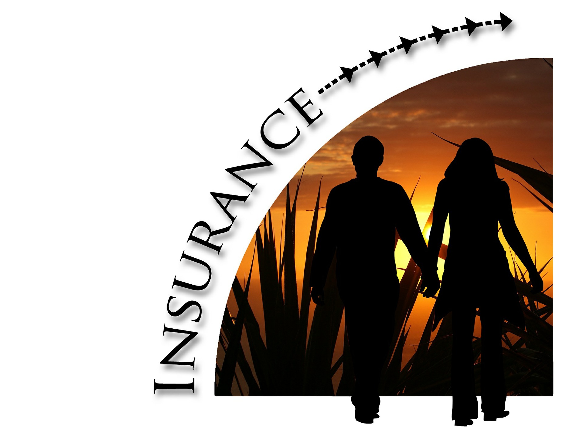 insurance policy